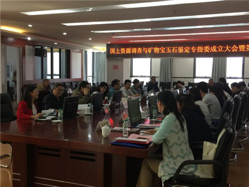 学院参加国调与宝玉石专业教指委成立大会暨第一次全体委员会议