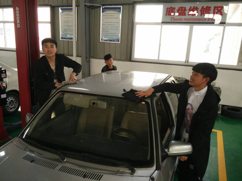 常春2.png