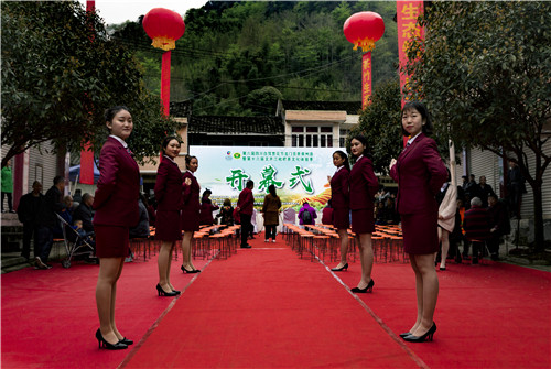 1521768078570635.jpg 6Y9A8286.jpg