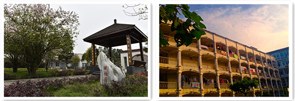 1483950448574308.jpg 1_副本.jpg