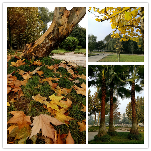 1483950104444981.jpg 2.jpg