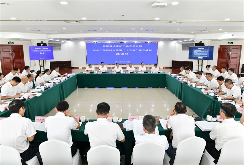 省地质局召开半年工作经验交流暨“十五五”规划编制座谈会